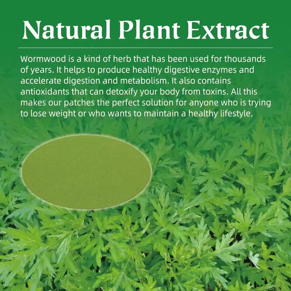 Super Fast Herbal Slimming Patch